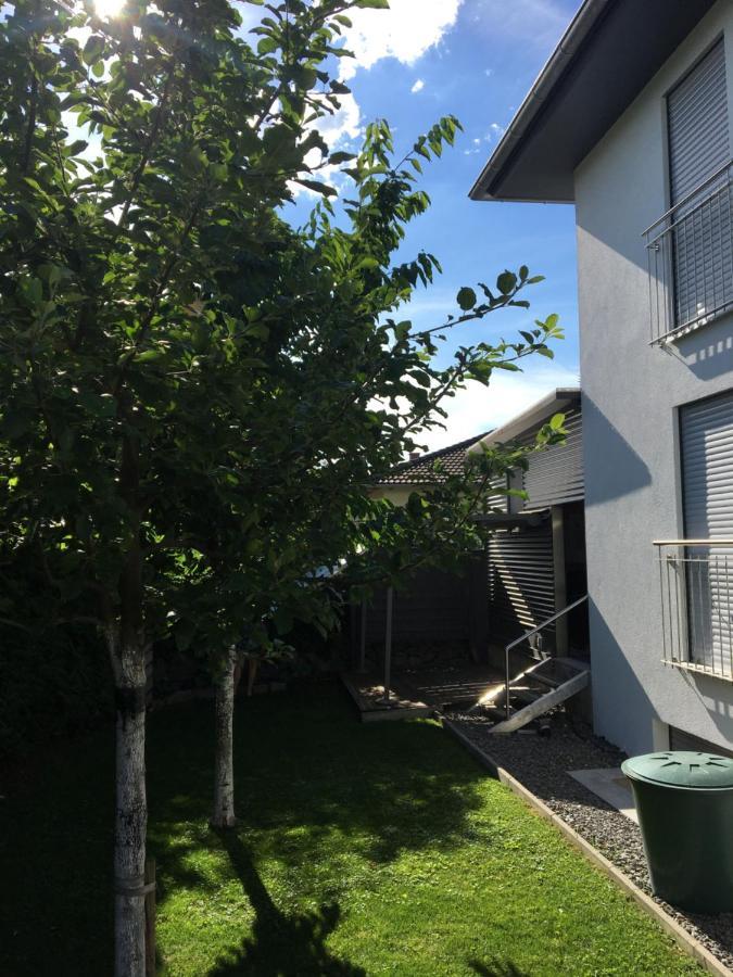 Peter'S Ferienwohnung Im Souterrain Neuried  Eksteriør billede
